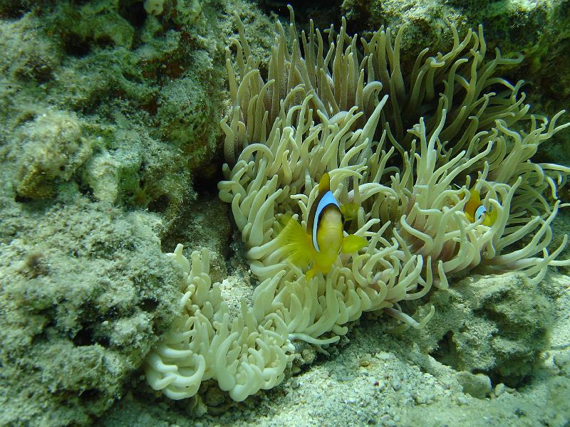 06 EG 006.JPG
